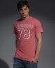Superdry Laundry Entry t-shirt
