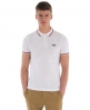 Superdry Tipped Collar Polo