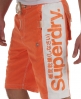 Superdry Panel Boardshorts