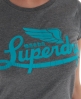Superdry Icarus T-shirt