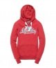 Superdry Icarus Hoodie