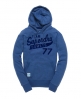 Superdry Team Flock Hood