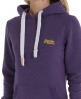 Superdry Orange Label Hoodie