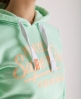 Superdry Ticket Type Hoodie