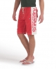 Superdry Panel Boardshort