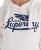 Superdry Icarus Hoodie