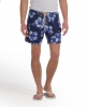 Superdry Natsumi Shorts