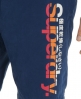Superdry Parallel Boardshorts