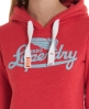 Superdry Icarus Hoodie