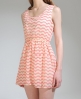 Shikha Zebra Stripe Dress