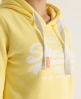 Superdry Vintage Hoodie