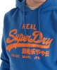 Superdry Vintage Entry Hoodie