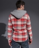 Superdry Lumberjack hood