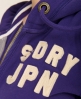 Superdry Blocker Zip Hoodie
