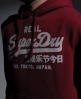 Superdry Puff Print Solid hood
