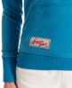 Superdry Sweat à capuche Tiger Jungle