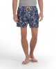 Superdry Natsumi Shorts