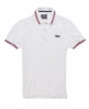 Superdry Tipped Collar Polo