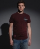 Superdry Appl. Graduate t-shirt