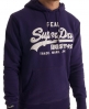 Superdry Vintage Entry Hoodie