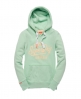 Superdry Ticket Type Hoodie