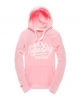 Superdry Ticket Type Hoodie