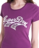 Superdry Double Swoosh T-shirt