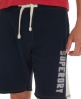 Superdry circuit short
