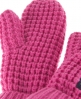 Superdry Herders Mittens