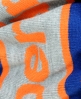 Superdry Logo Beanie