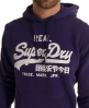 Superdry Vintage Entry Hoodie