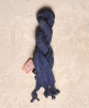 Superdry Scarecrow Scarf