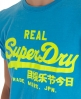 Superdry Vintage T-shirt