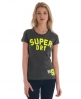 Superdry Coaching 68 T-shirt