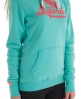 Superdry Icarus Hoodie