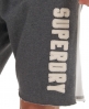 Superdry circuit short
