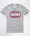 Superdry Flying Wing T-shirt