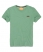 canopy green