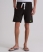 bison black