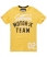 pigment yellow