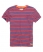 blue stripe