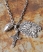 ARGENT Superdry Collier Rockstar