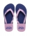 navy/punk pink