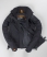 BLACK/BLACK/GREY Superdry Technical Windcheater