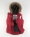 CREED RED/DOVE GREY Superdry University Gilet