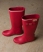 rich red/winter
