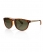 tortoiseshell