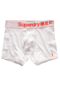 Japan Boxer