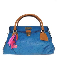 Bridget Bag