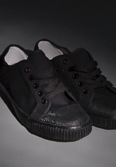 Plimsoll shoe